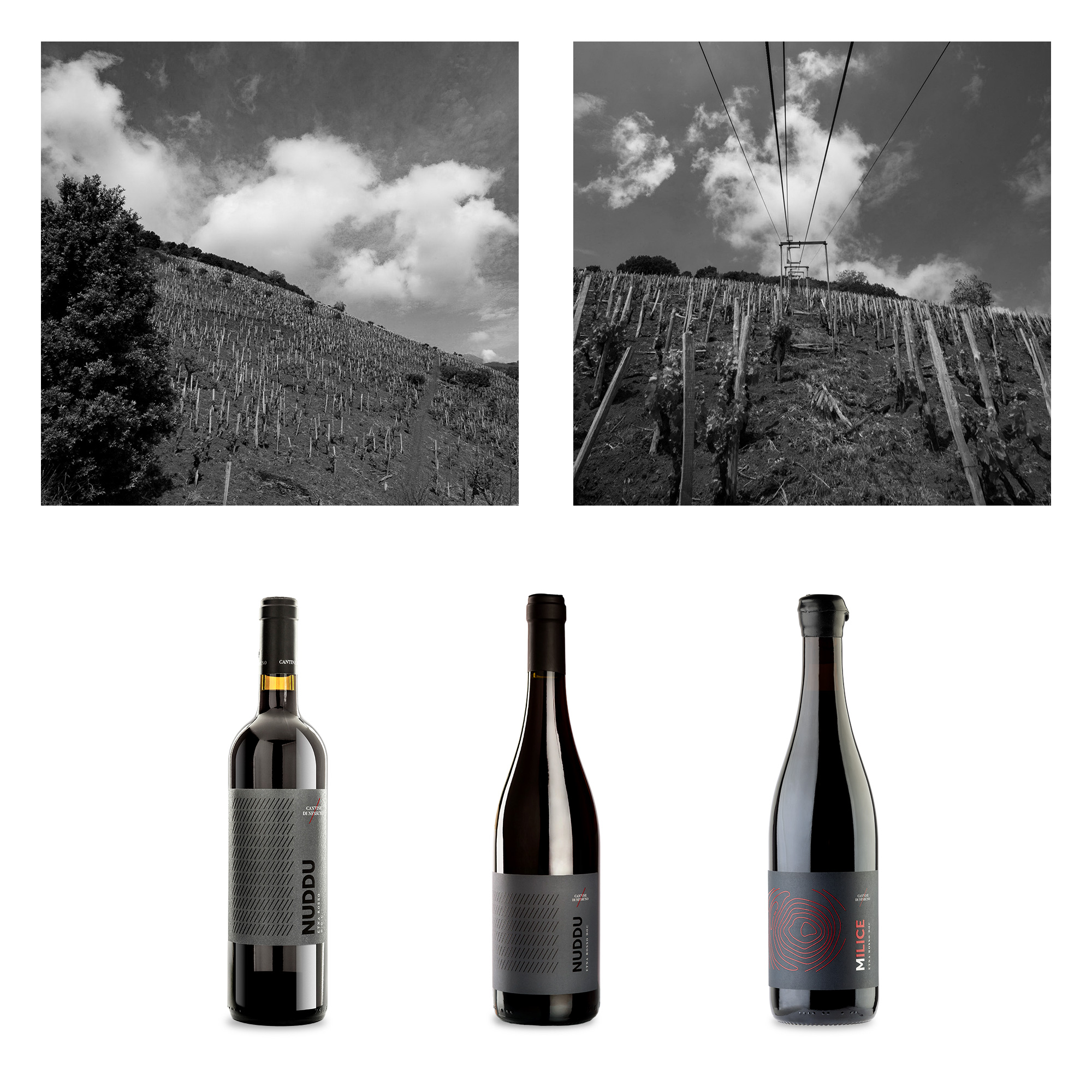 Cantine di Nessuno